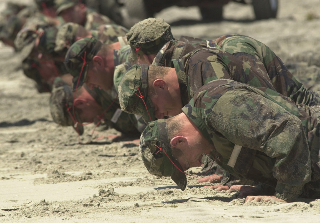 SEALS Doing Push Ups