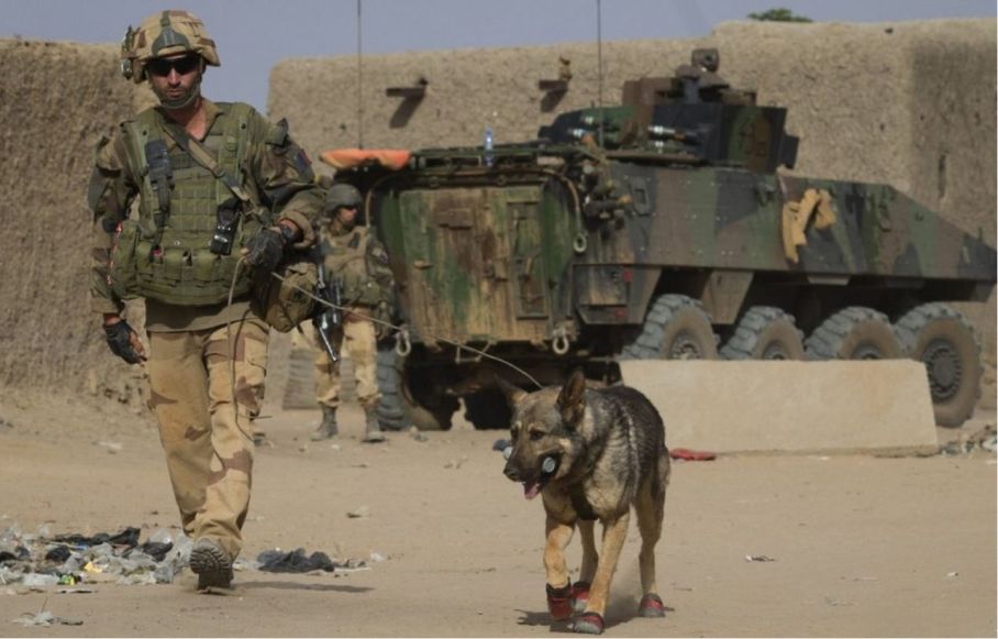 French Special Forces With Military Dog