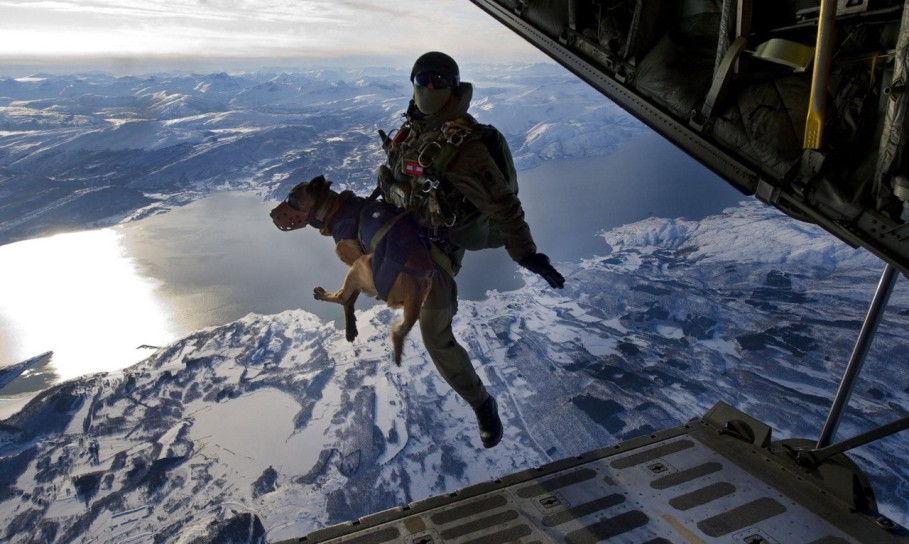 Skydiving with Special Ops Dog.